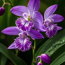 Cross stitch pattern: #2970813