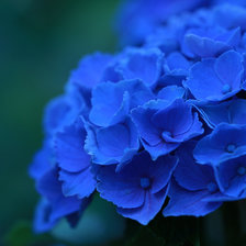 Cross stitch pattern: #2970915