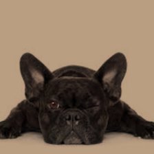 Cross stitch pattern: #2971175