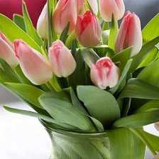 Cross stitch pattern: #2971182