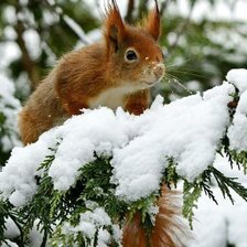 Cross stitch pattern: #2971201