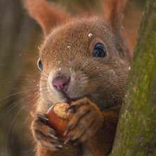 Cross stitch pattern: #2971247