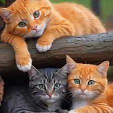 Cross stitch pattern: #2971258