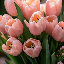 Cross stitch pattern: #2971266