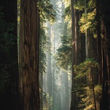 Cross stitch pattern: #2971995