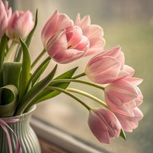 Cross stitch pattern: #2972027