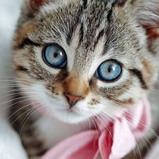 Cross stitch pattern: #2972333