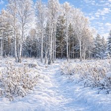 Cross stitch pattern: #2972414