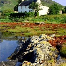 Cross stitch pattern: W9