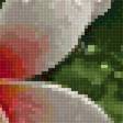 Preview of cross stitch pattern: #2974431