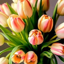 Cross stitch pattern: #2974441