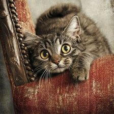 Cross stitch pattern: #2974674