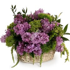 Cross stitch pattern: #2974924