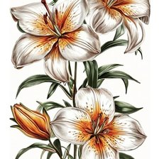 Cross stitch pattern: #2975030