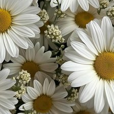 Cross stitch pattern: #2975031