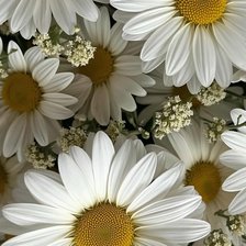 Cross stitch pattern: #2975032