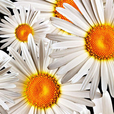 Cross stitch pattern: #2976200