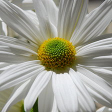 Cross stitch pattern: #2976205