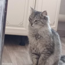 Cross stitch pattern: #2976238