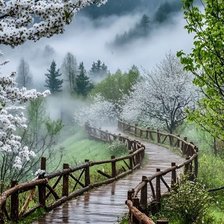 Cross stitch pattern: #2976453