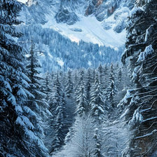 Cross stitch pattern: #2976505