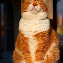 Cross stitch pattern: #2977087