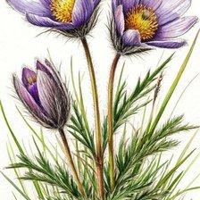 Cross stitch pattern: #2977245