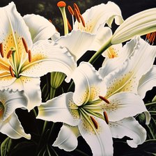 Cross stitch pattern: #2977252