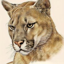 Cross stitch pattern: #2977484