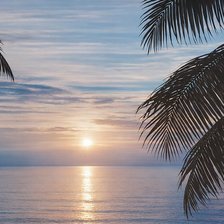 Cross stitch pattern: #2977674