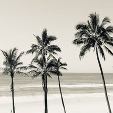 Cross stitch pattern: #2977685