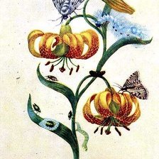 Cross stitch pattern: #2977702