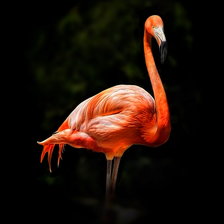 Cross stitch pattern: #2977864