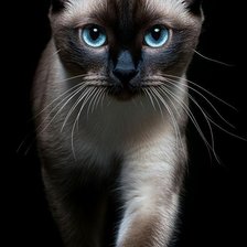 Cross stitch pattern: #2978226