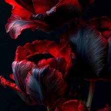 Cross stitch pattern: #2978796