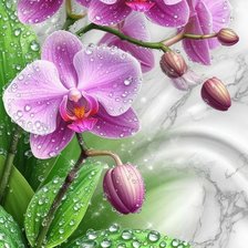 Cross stitch pattern: #2978855