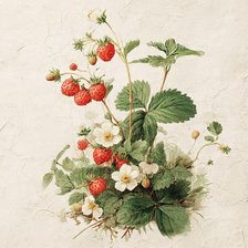 Cross stitch pattern: #2978970