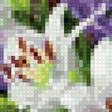 Preview of cross stitch pattern: #2979270