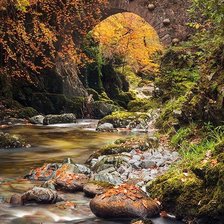 Cross stitch pattern: #2979370