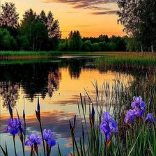 Cross stitch pattern: #2979832