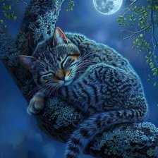 Cross stitch pattern: #2980721