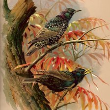 Cross stitch pattern: #2980894