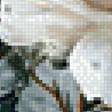 Preview of cross stitch pattern: #2981164