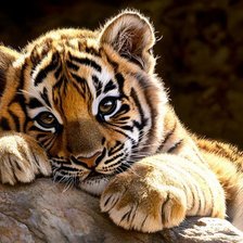 Cross stitch pattern: #2981263