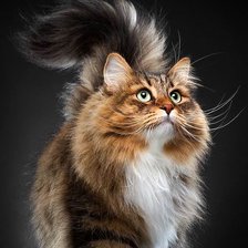 Cross stitch pattern: #2981545