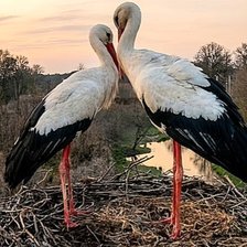 Cross stitch pattern: #2981603