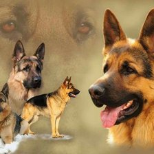 Cross stitch pattern: #2981618