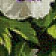 Preview of cross stitch pattern: #2981740