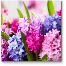 Cross stitch pattern: #2981822