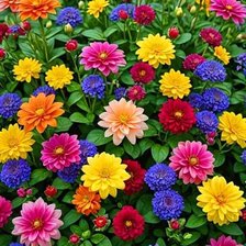 Cross stitch pattern: #2982088